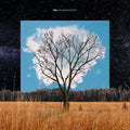 Bloom Innocent Music CD