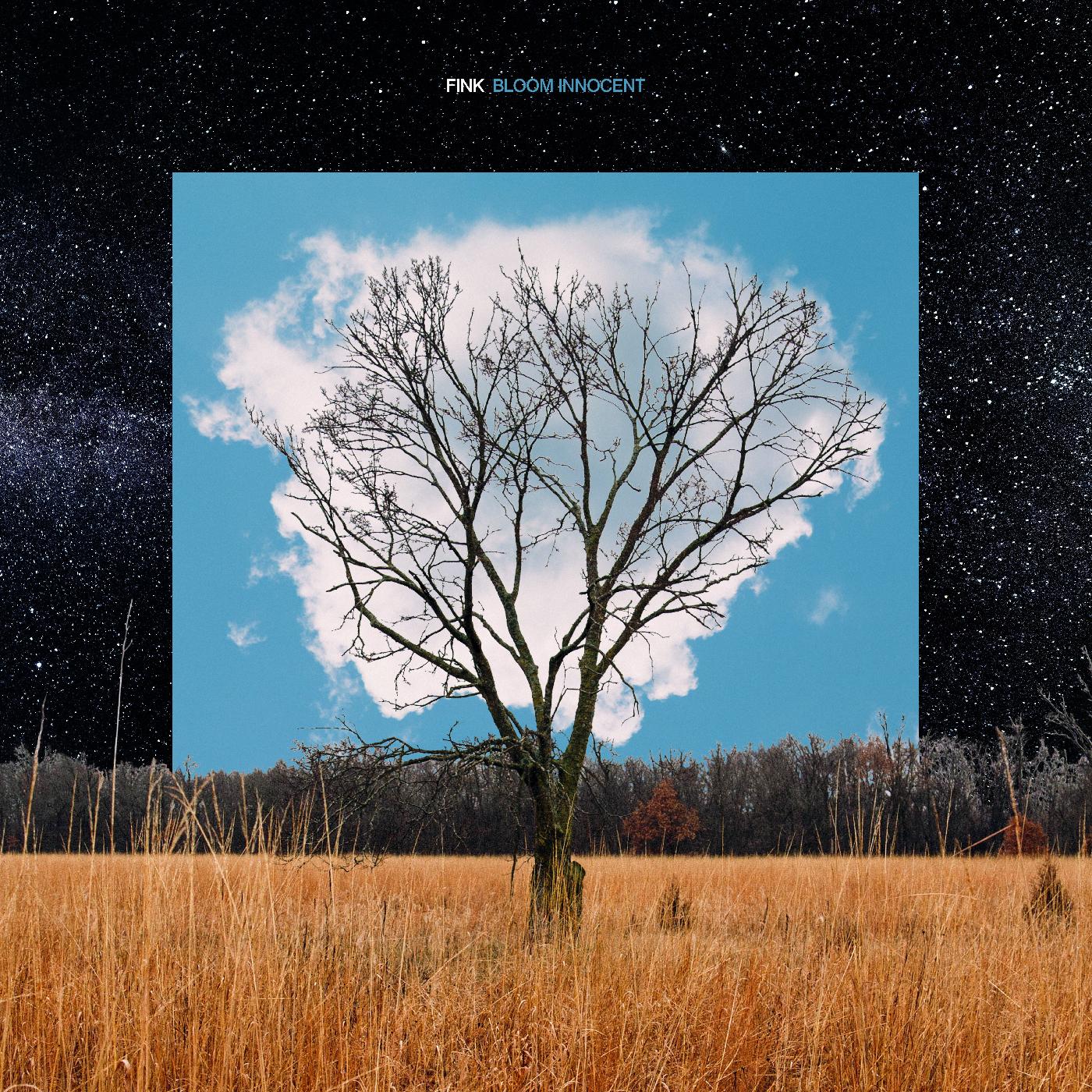 Bloom Innocent Music CD