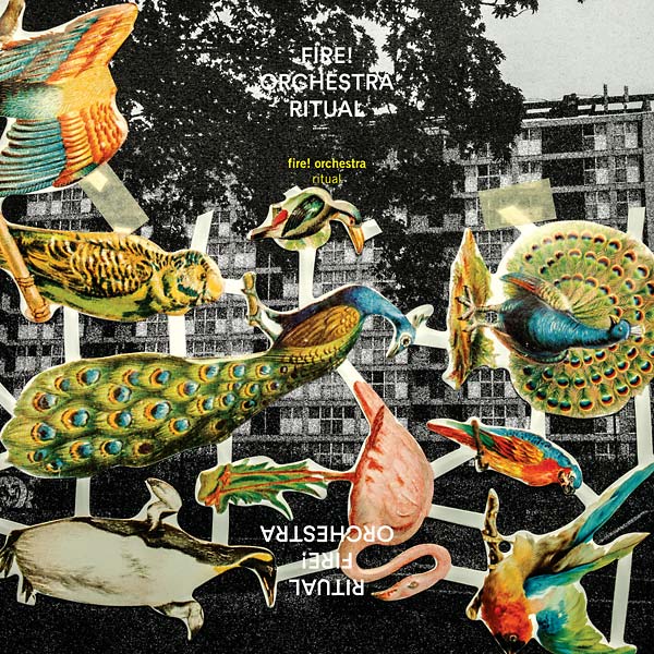 Ritual Vinyl Record