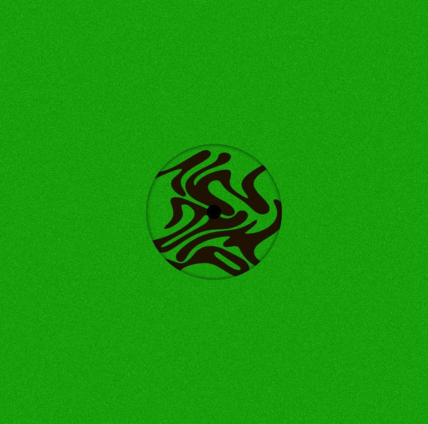 Swamp Vinyl Record