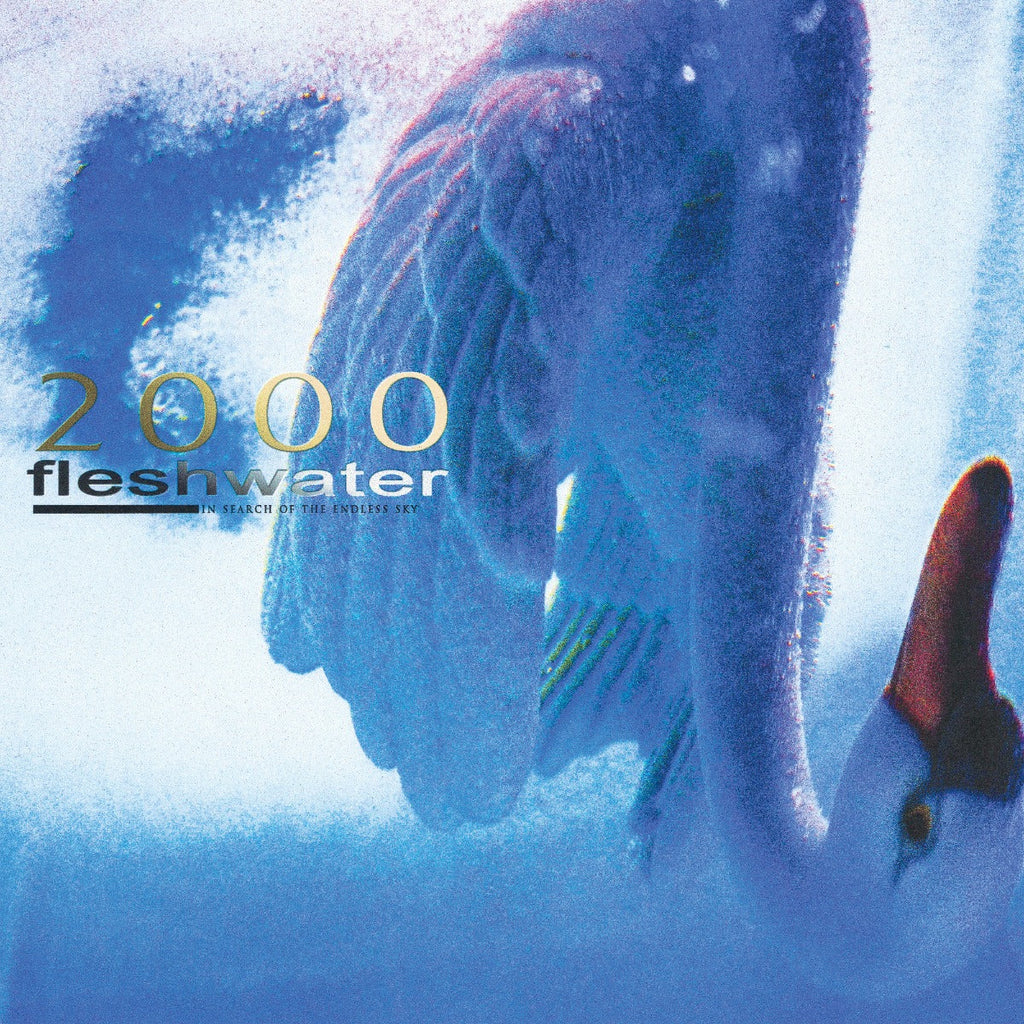 2000: In Search Of The Endless Sky Music CD