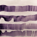 Flocks Music CD