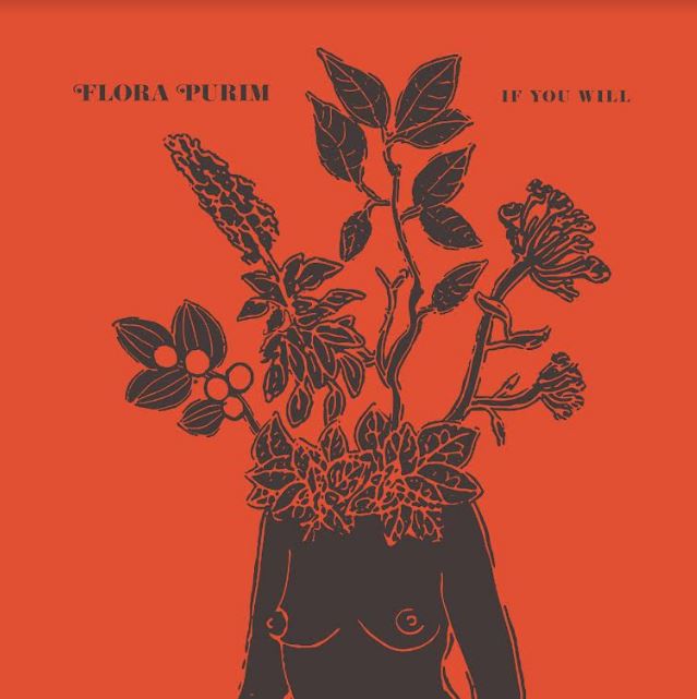 If You Will (CLEAR VINYL) Vinyl Record