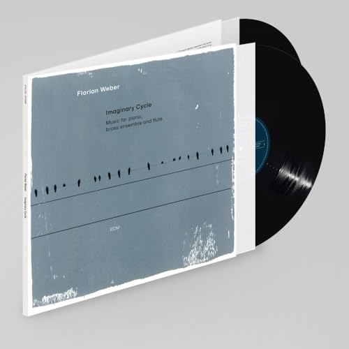 Imaginary Cycle [2 LP] Vinyl Record