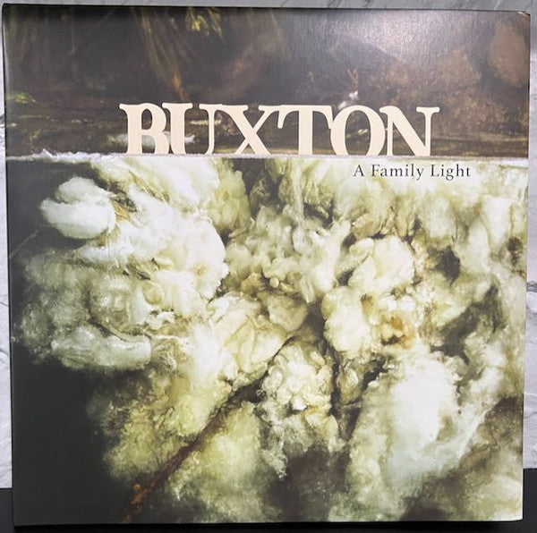 A Family Light (Clear Vinyl) | Mint (M) Mint (M)