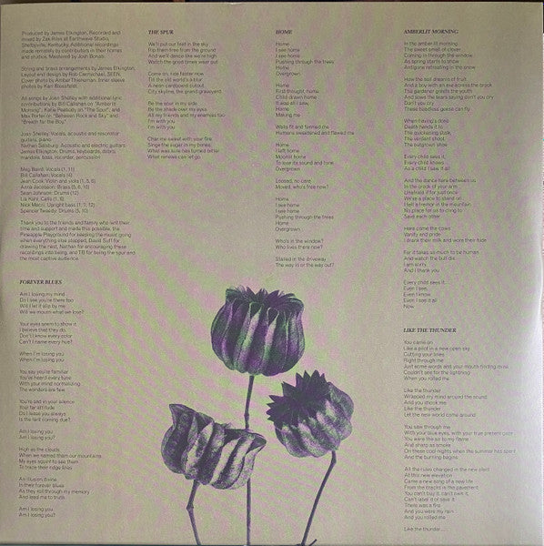 The Spur (SILVER VINYL) | Mint (M) Mint (M)