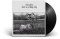 Maisy Owen - (PRE ORDER 5/1/26) Dark on a Sunny Day (VINYL) | Mint (M) Mint (M)