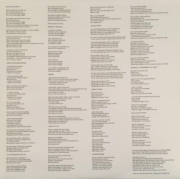 Sufjan Stevens - Carrie & Lowell | Mint (M) Mint (M)