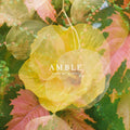 AMBLE - HAND ME DOWNS (RSD 2026 VINYL) | Mint (M) Mint (M)