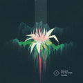 Awake Music CD