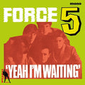 Yeah I'm Waiting Vinyl Record