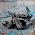 Compassion (DELUXE) Vinyl Record