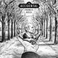 The Accidental (180G) Vinyl Record