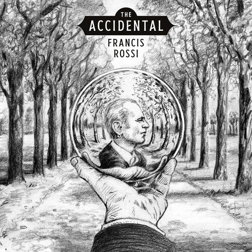 The Accidental (180G) Vinyl Record