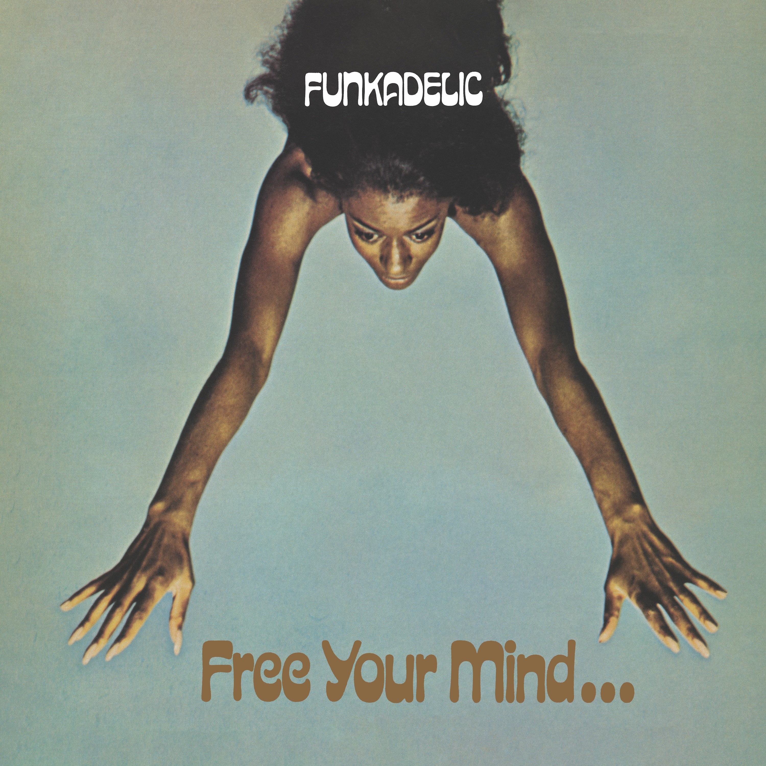 Free Your Mind And Your Ass Will Follow (Blue Mist) Vinyl Record