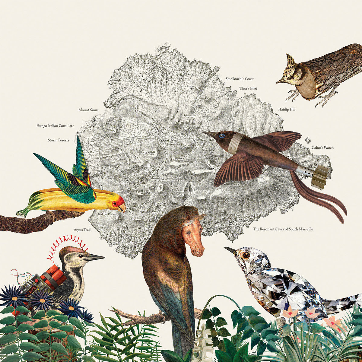 The Birds Of Marsville Vinyl Record