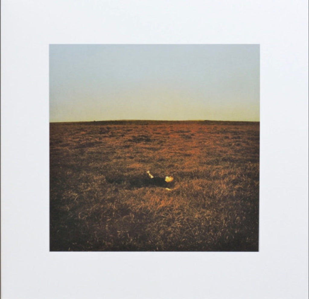 Fink – City Is Coming To Erase It All (LP Vinyl) Vinyl Record