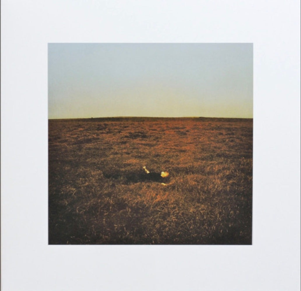 Fink – City Is Coming To Erase It All (LP Vinyl) Vinyl Record