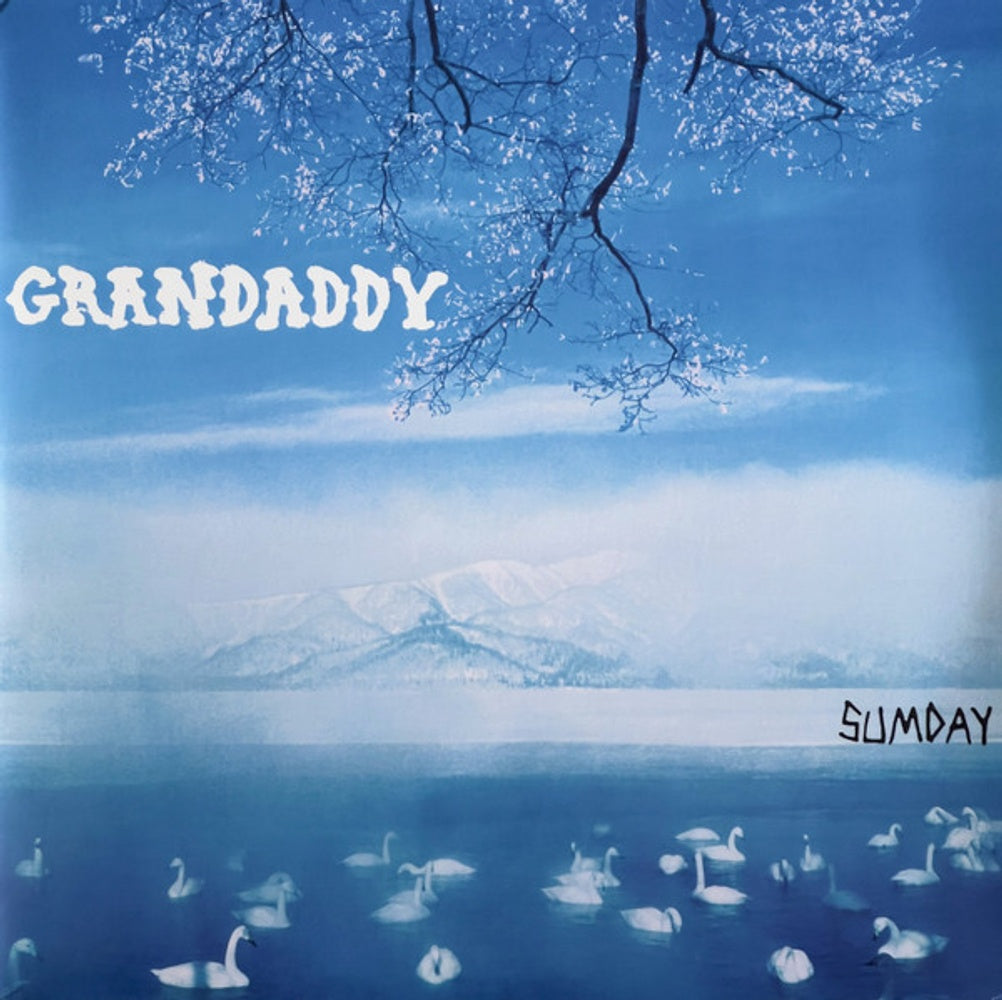 Grandaddy – Sumday: 20th Anniversary (2-LP Vinyl) Vinyl Record