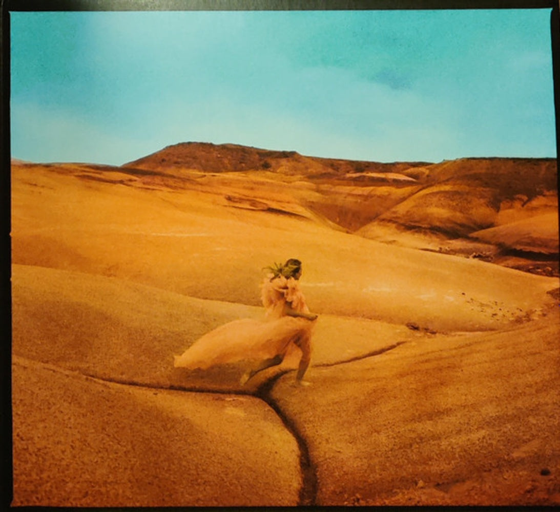 Margo Price – Strays Music CD