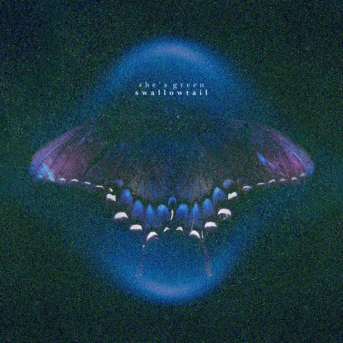 she's green – Swallowtail Music CD