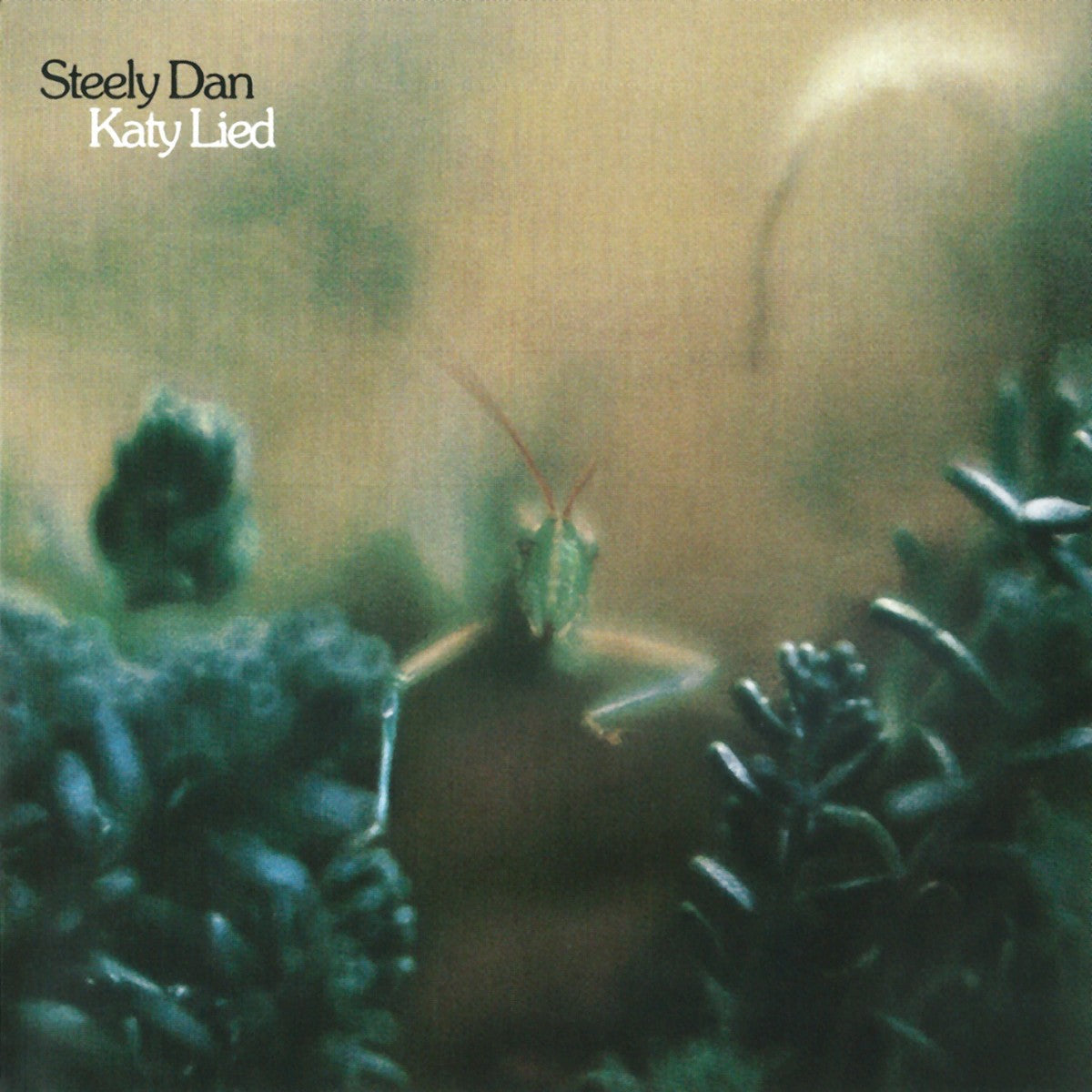 Steely Dan – Katy Lied (LP Vinyl) Vinyl Record