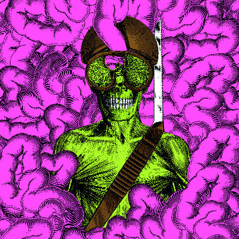 Thee Oh Sees – Carrion Crawler / Dream (LP Vinyl) Vinyl Record