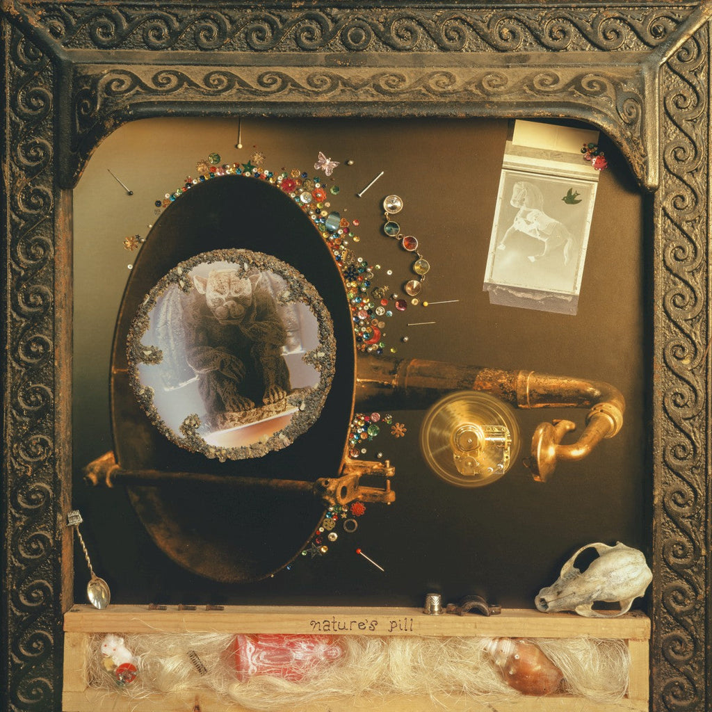 Wishy – Nature's Pill Music CD