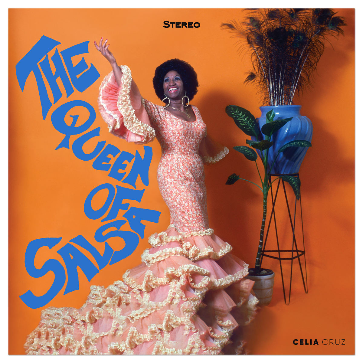 The Queen Of Salsa Vinyl Record