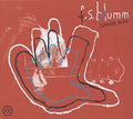 Summer Kling Music CD