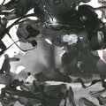 Watarase Vinyl Record
