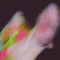 Existenz |
