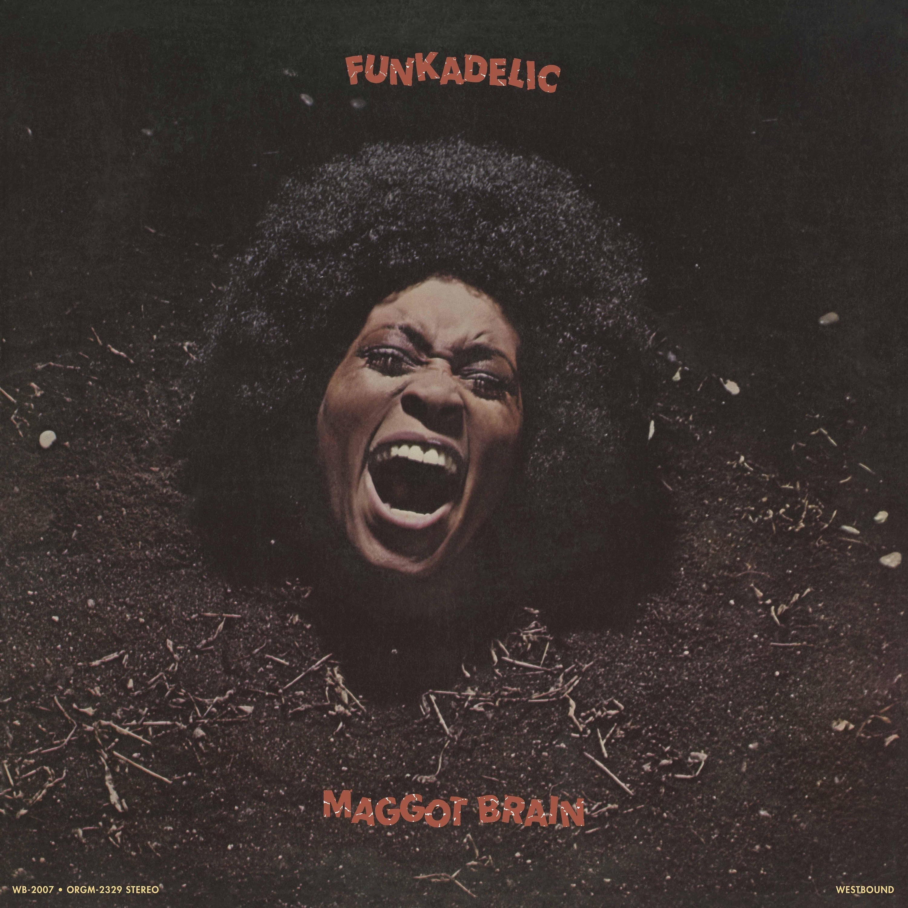 PRE-ORDER Funkadelic - Maggot Brain [Black LP] [Vinyl] Vinyl Record