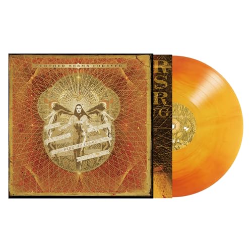 Hide Nothing Vinyl Record