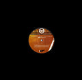 FUTURE BEAT ALLIANCE - FBA21 Remixed Vinyl Record