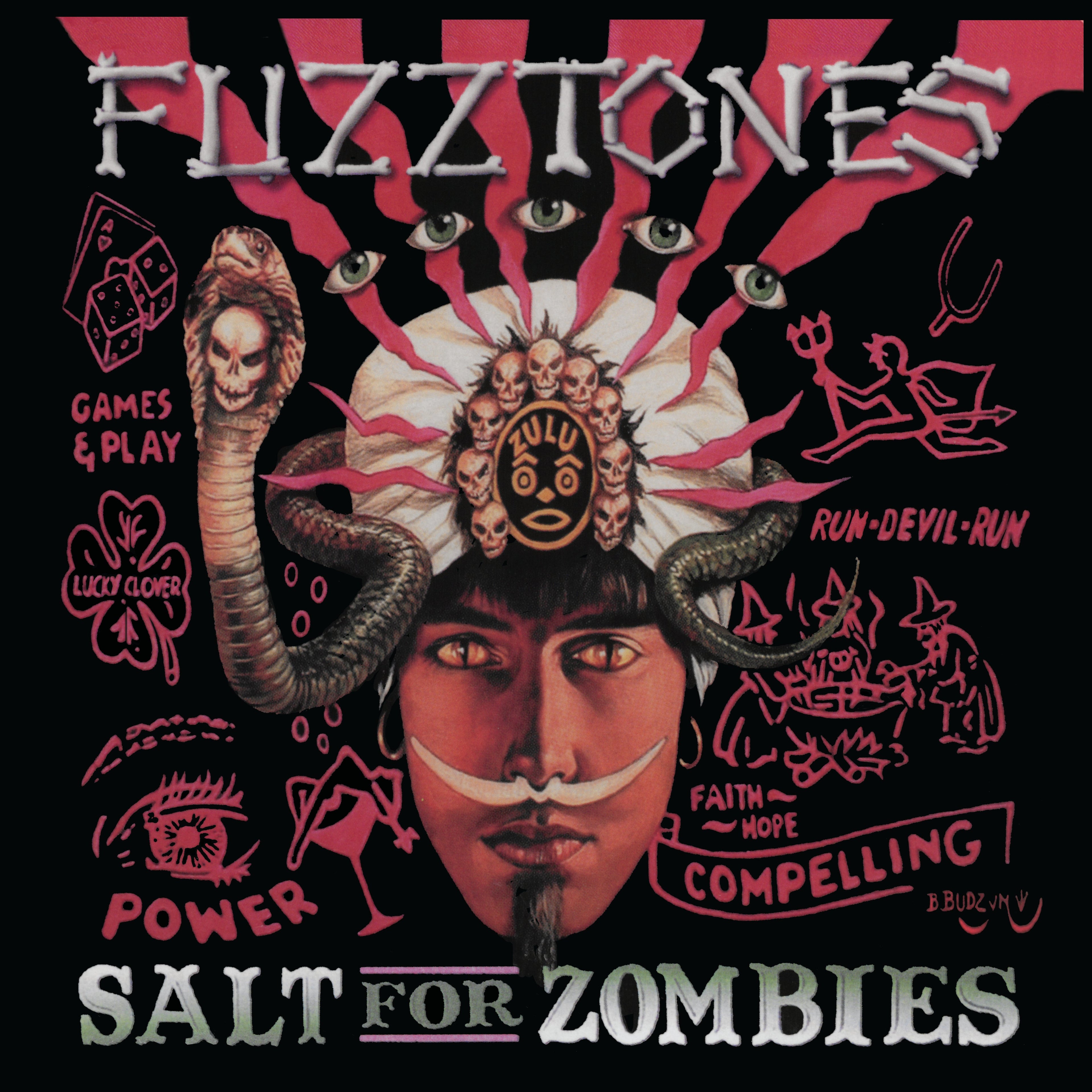 Salt For Zombies Music CD