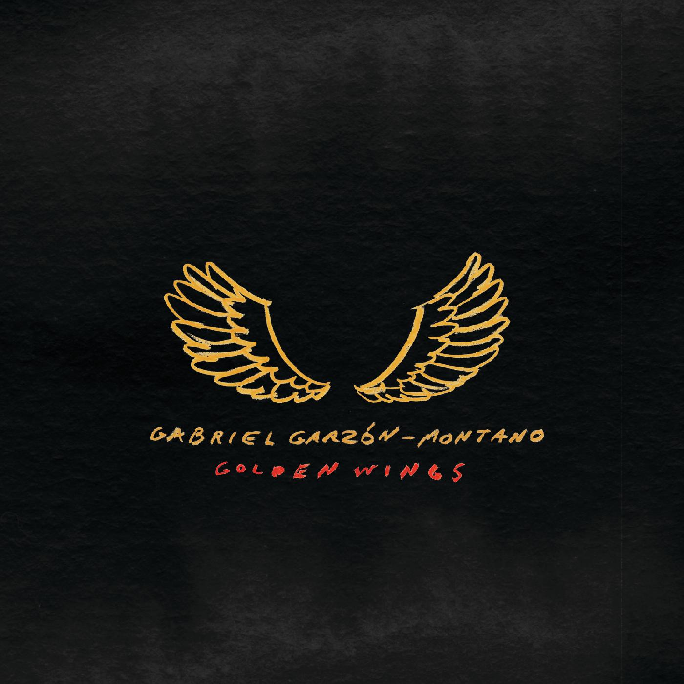 Golden Wings Vinyl Record