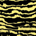Restless Shapes Music CD