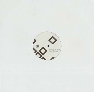 The Filth Vinyl Record