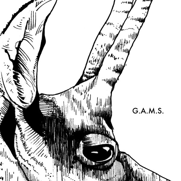 G.A.M.S. Vinyl Record