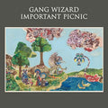 Important Picnic Vinyl Record
