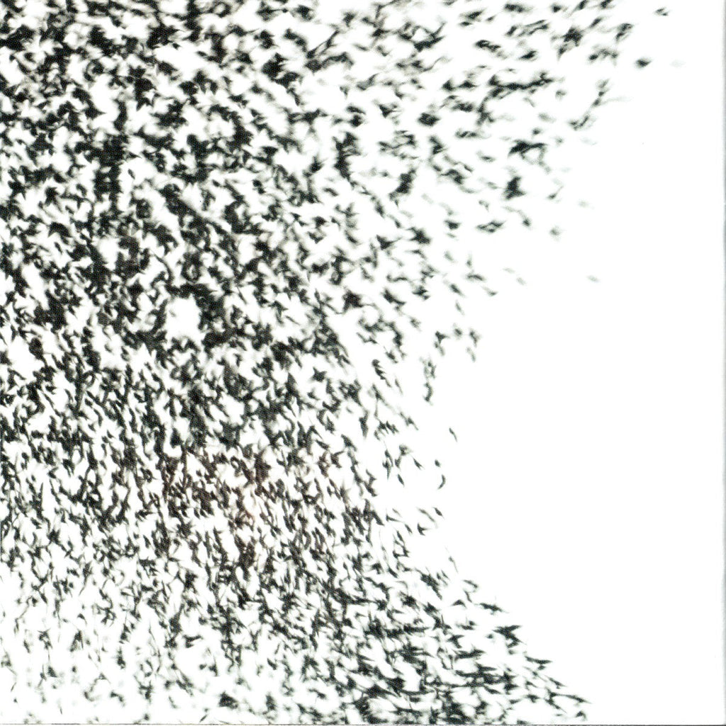 Wilco – Sky Blue Sky Music CD