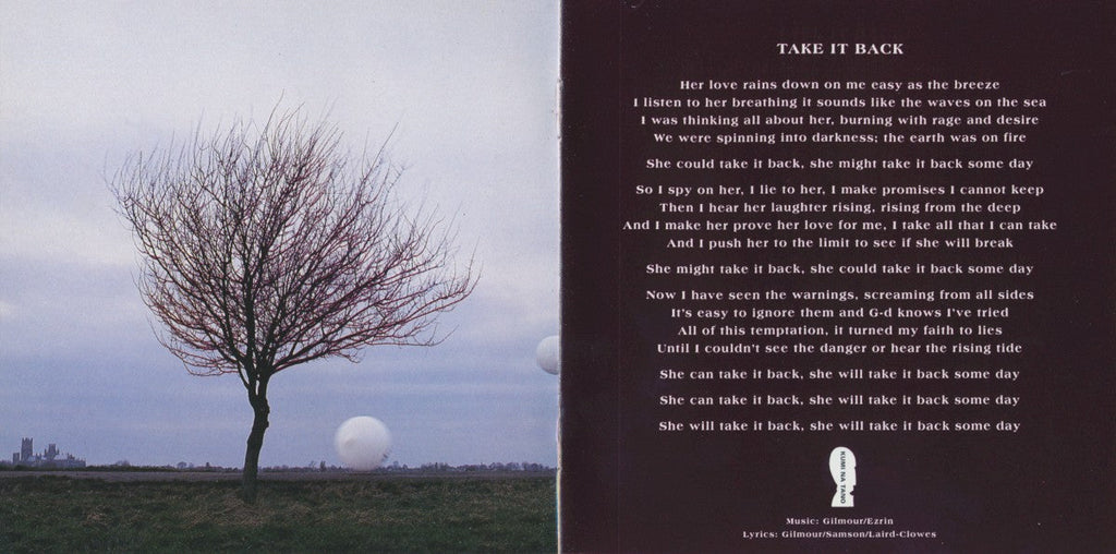 Pink Floyd – The Division Bell (2-LP Vinyl) Vinyl Record