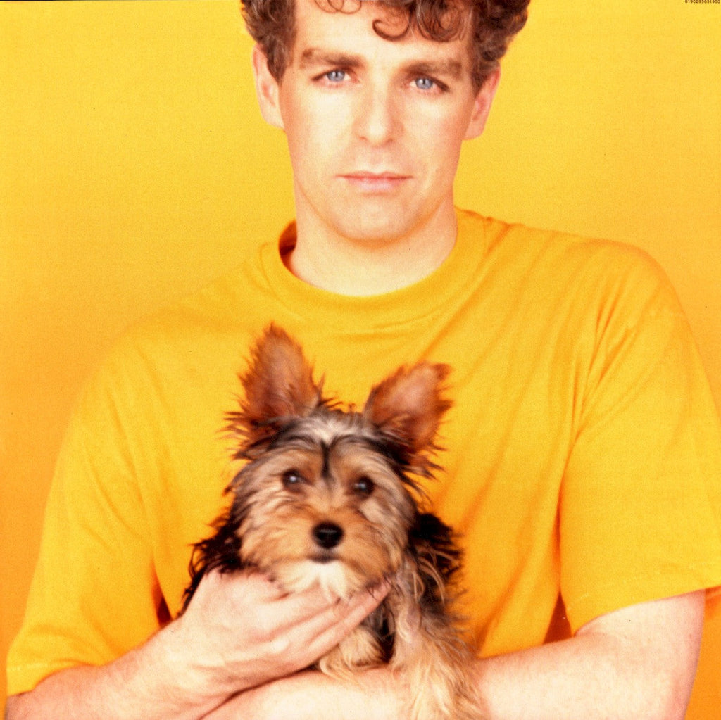 Pet Shop Boys – Introspective (LP Vinyl) Vinyl Record