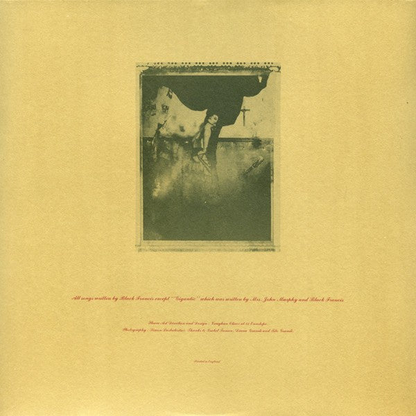 Pixies – Surfer Rosa (LP Vinyl) Vinyl Record