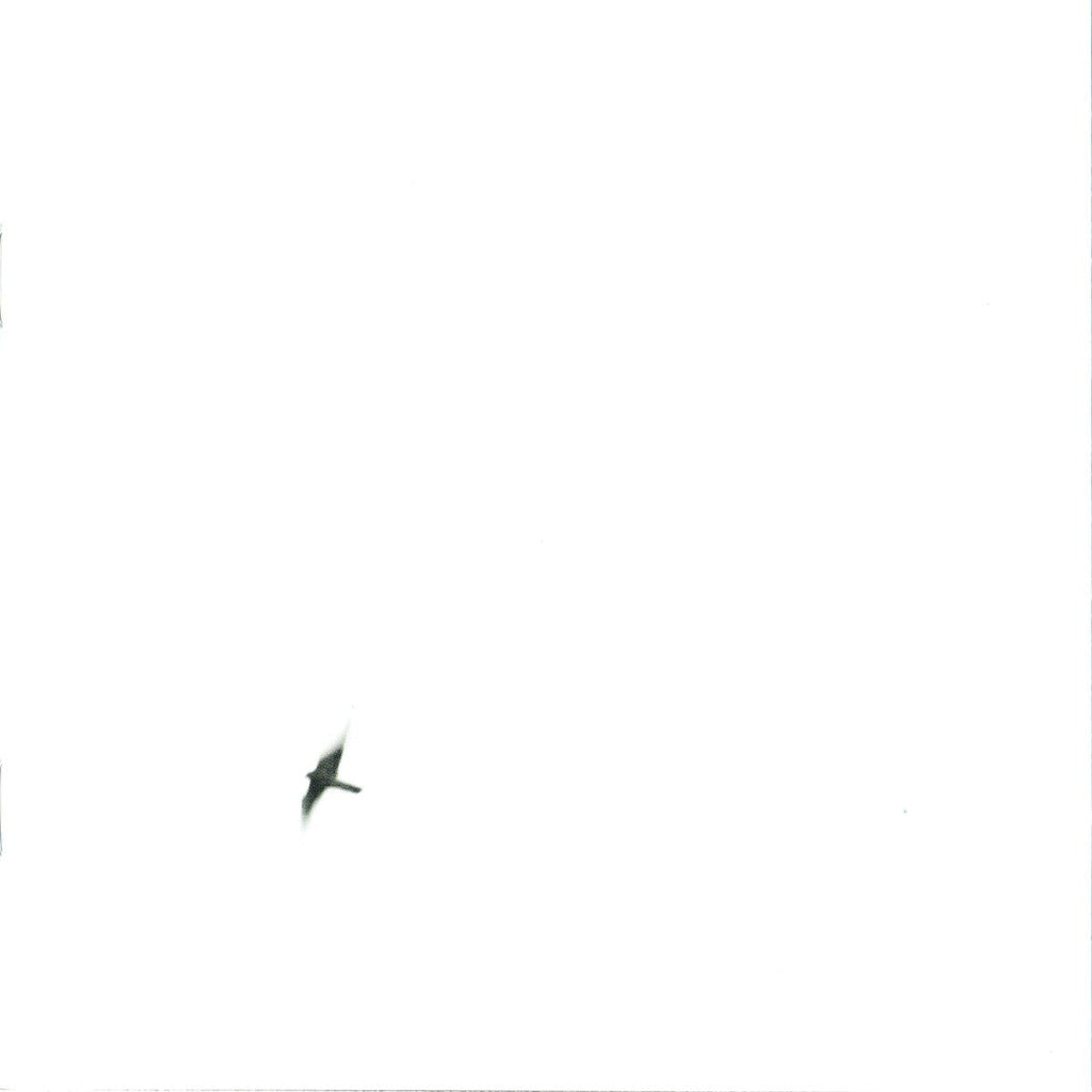 Wilco – Sky Blue Sky Music CD