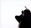 In Search Of The Mystery Music CD