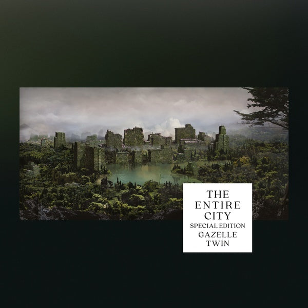 The Entire City / The Wastelands Music CD