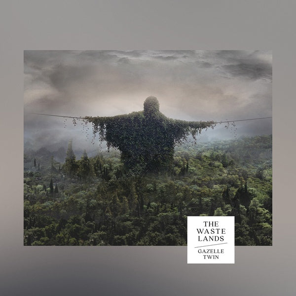 The Wastelands Vinyl Record