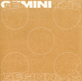 The Beginning Vinyl Record